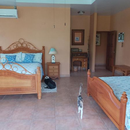 Gone Fishing Panama Resort Бока-Чика Экстерьер фото