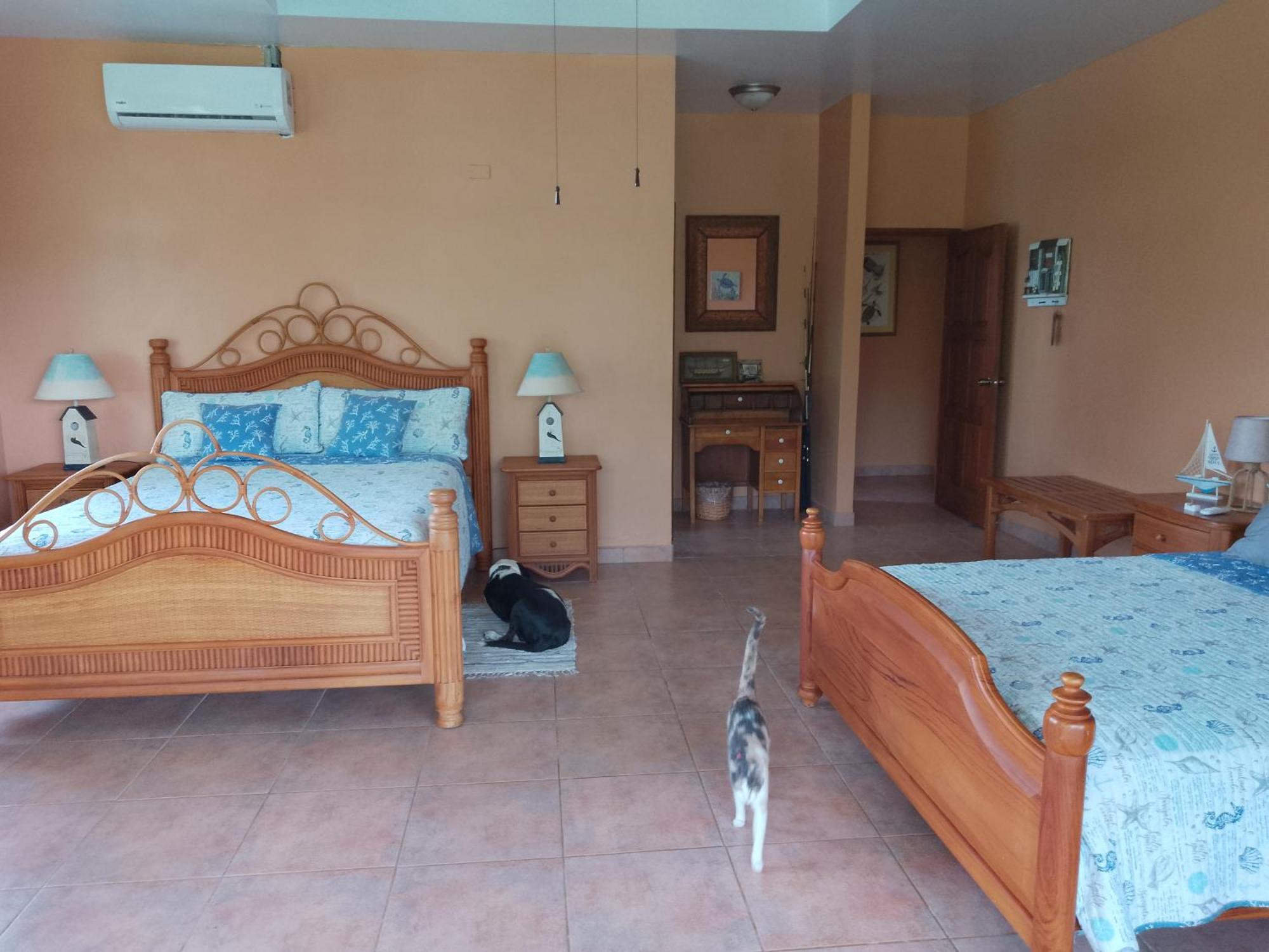 Gone Fishing Panama Resort Бока-Чика Экстерьер фото